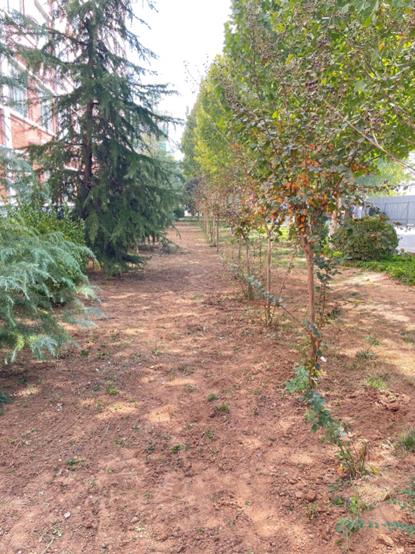 2003网站太阳集团