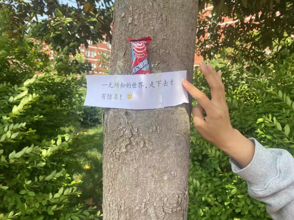 2003网站太阳集团