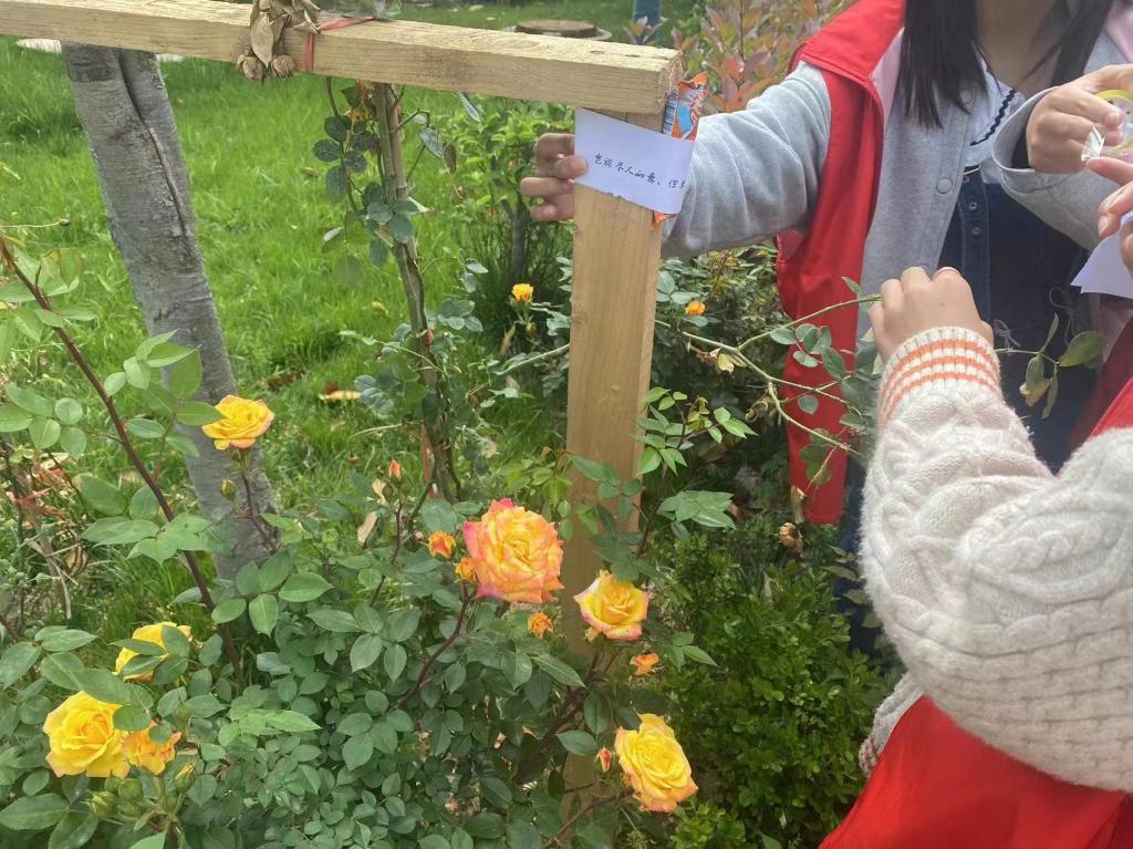 2003网站太阳集团